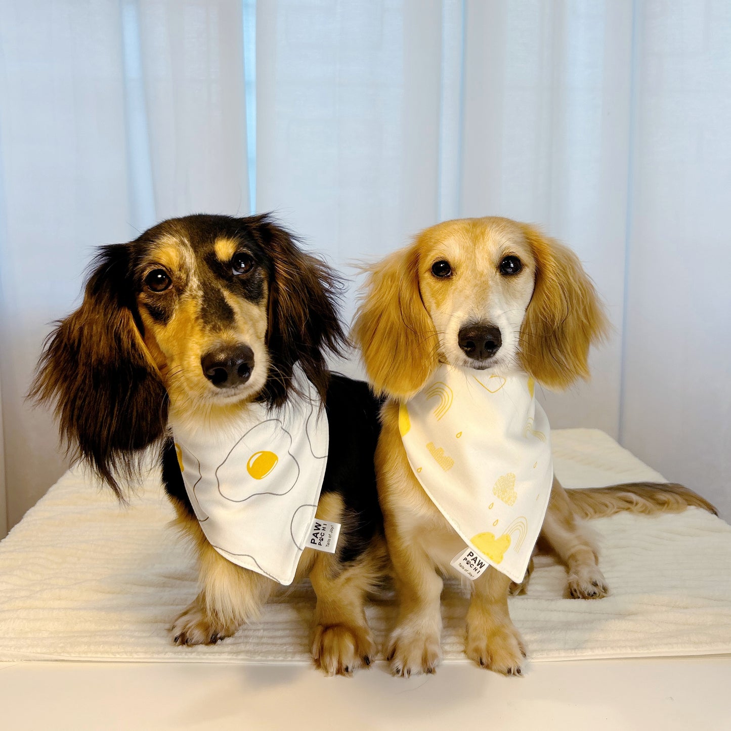 Yellow S/M/L- The Breakfast Series