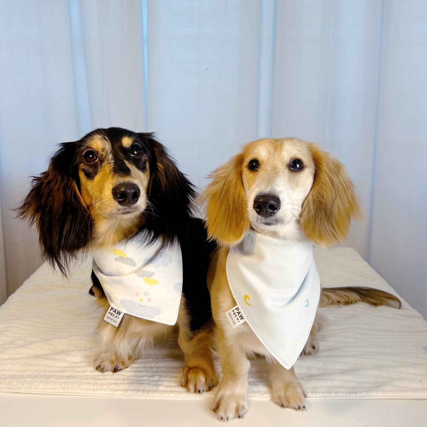 Blue S - Light Blue with Orange & Sky Blue Pattern